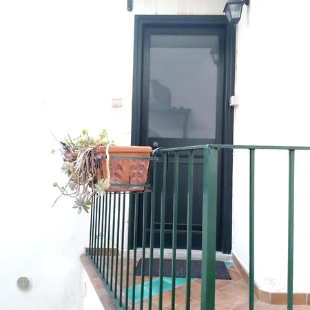 Apartment Sea Breeze House