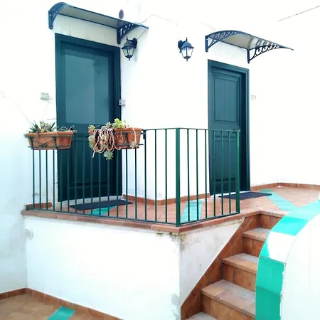 Apartment Sea Breeze House
